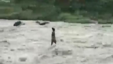 Photo of Warga Terjebak Bah di Tengah Sungai Serayu Selama 1 Jam, Akhirnya Diselamatkan
