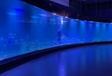 Photo of Pangandaran : Aquarium Terbesar Dunia Diresmikan, Berikut Harga Tiket, Fasilitas dan Jam Operasional.