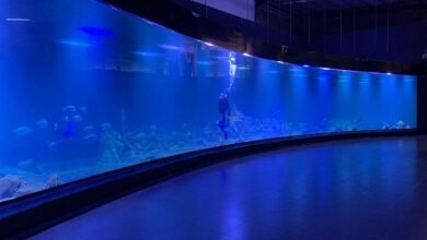 Photo of Pangandaran : Aquarium Terbesar Dunia Diresmikan, Berikut Harga Tiket, Fasilitas dan Jam Operasional.